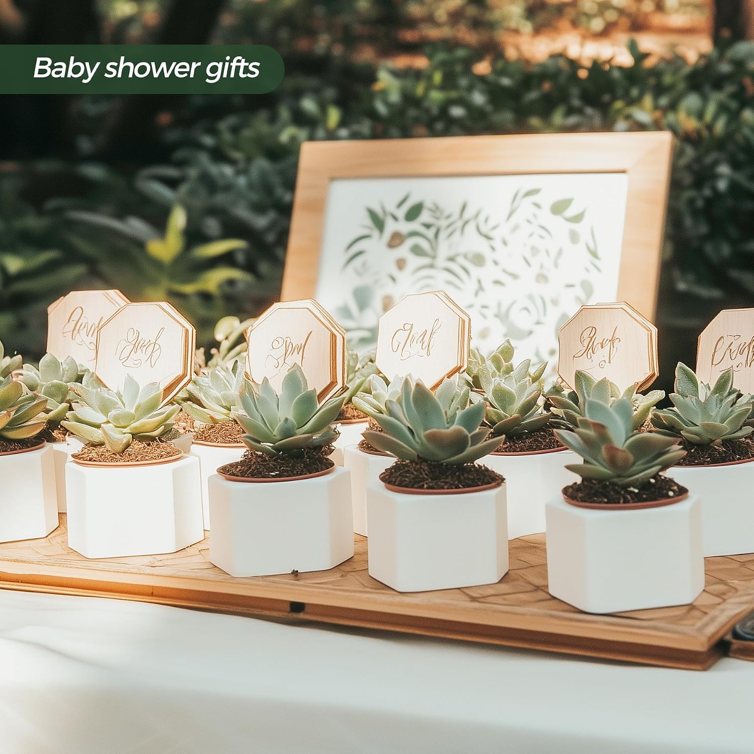 T4U Small Succulent Pots 12 Pack, Mini Flower Planters with Drainage White | Live cactus bonsai starter, Indoor