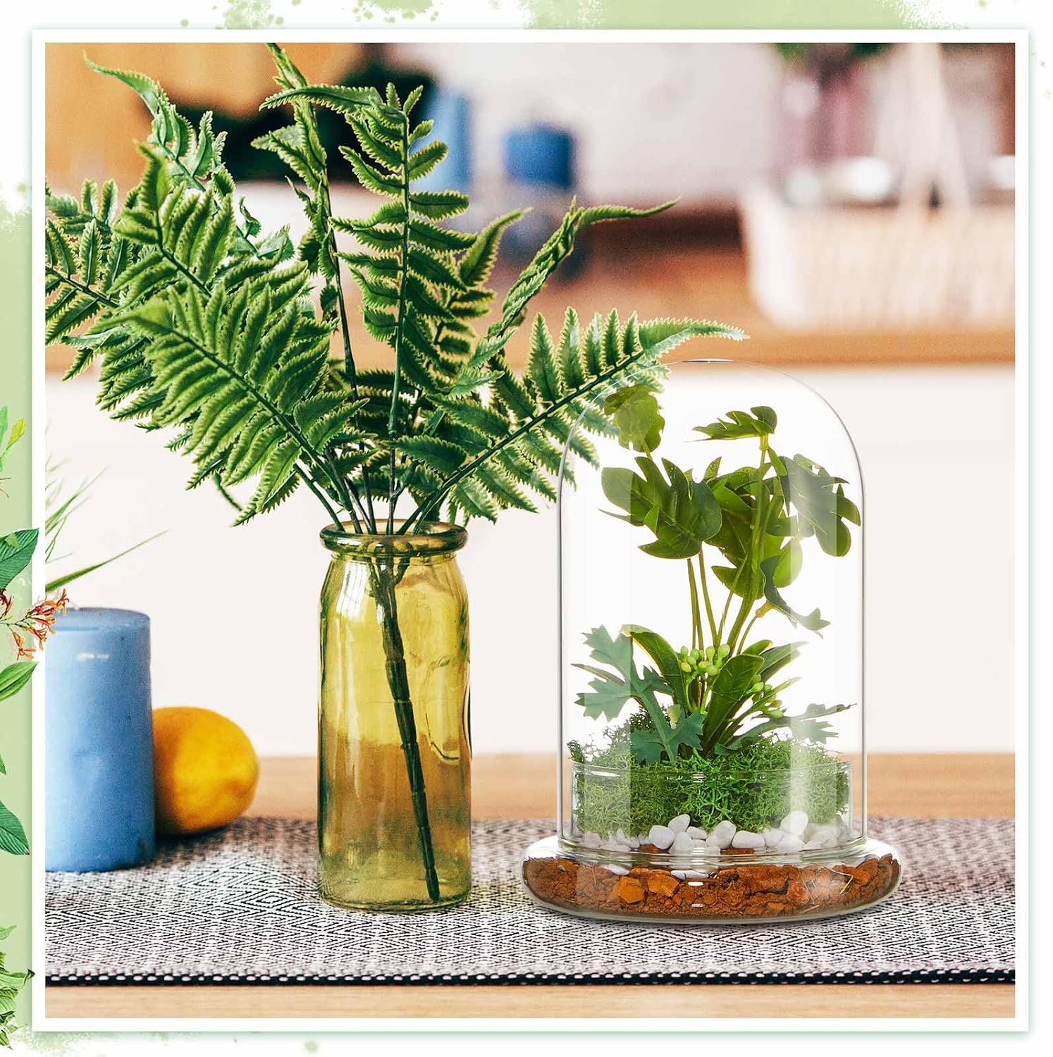 1 PC 5.9 x 7.9 Inch Glass Terrarium Dome Cloche with Air Hole & Glass Base, Clear Terrarium Containers Ventilated Plant