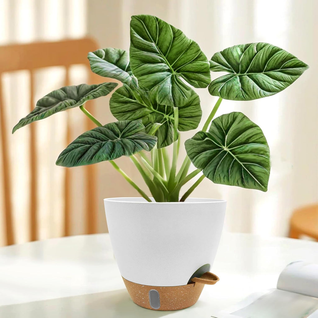 12/10/9/8 inch Self Watering Pots with Visual Water Window, Extra Large Self Watering Plant Pot with Drainage Holes and