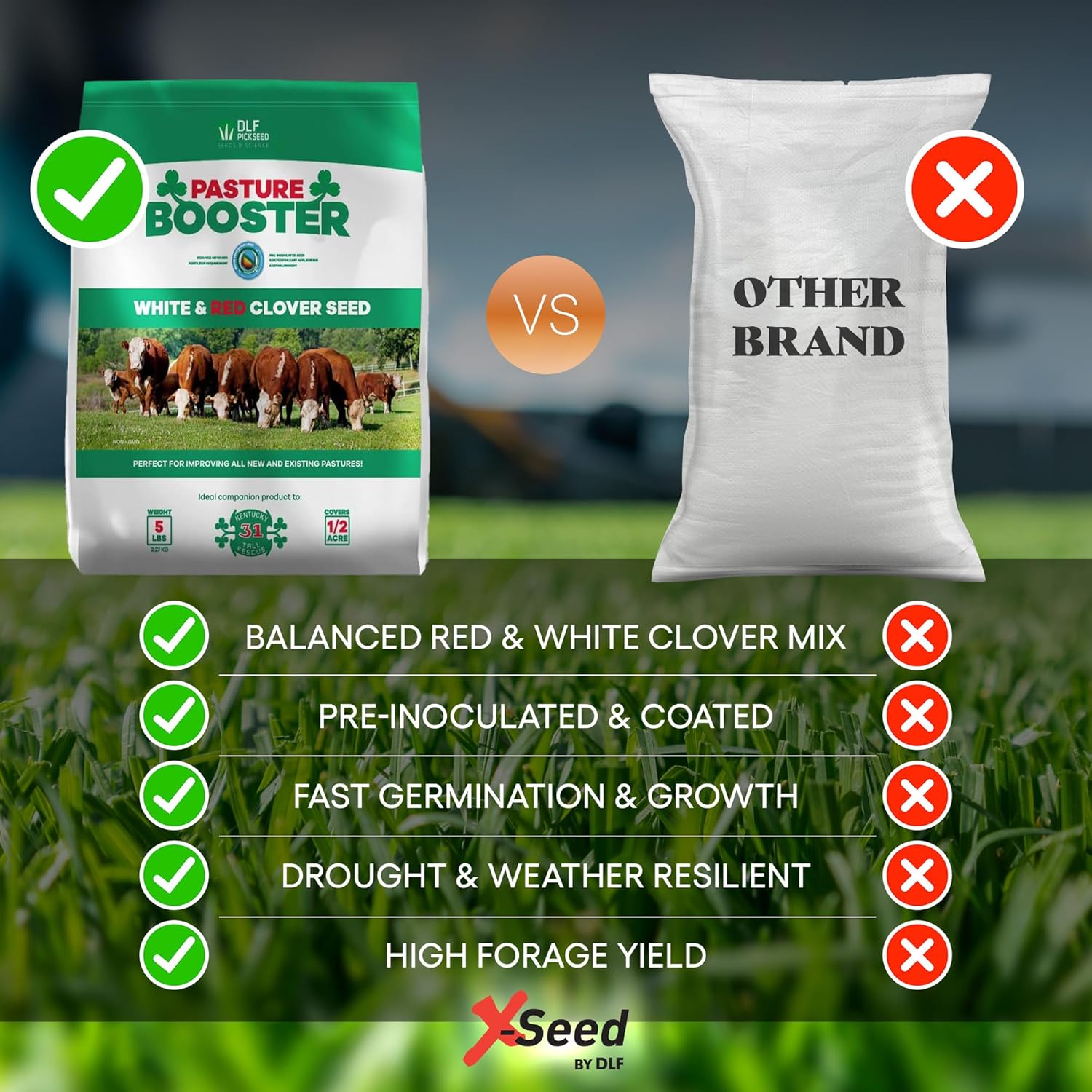 DLF Pasture Booster Clover Seed Mixture - Premium Clover Seed for Pastures, Livestock, Horses, Providing Protein &