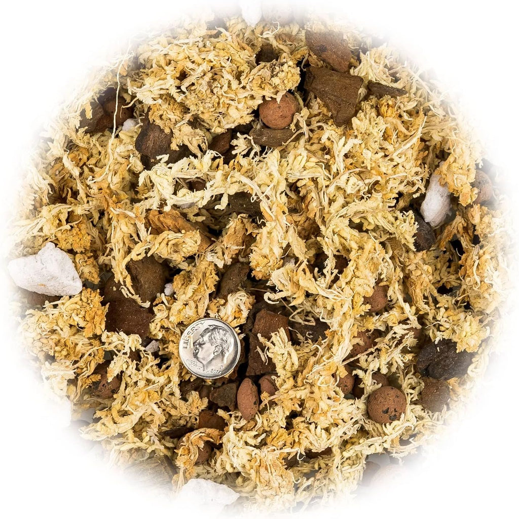 Premium Phalaenopsis Imperial Orchid Potting Mix - Hand Mixed in Small Batches | Great for Phalaenopsis of All Kinds
