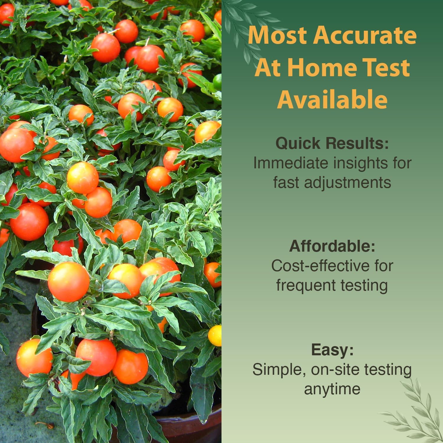 Premium Soil Test Kit: 40 Complete Tests for Lawns, Gardens, and Vegetables. Tests for Ammonia Nitrogen, pH