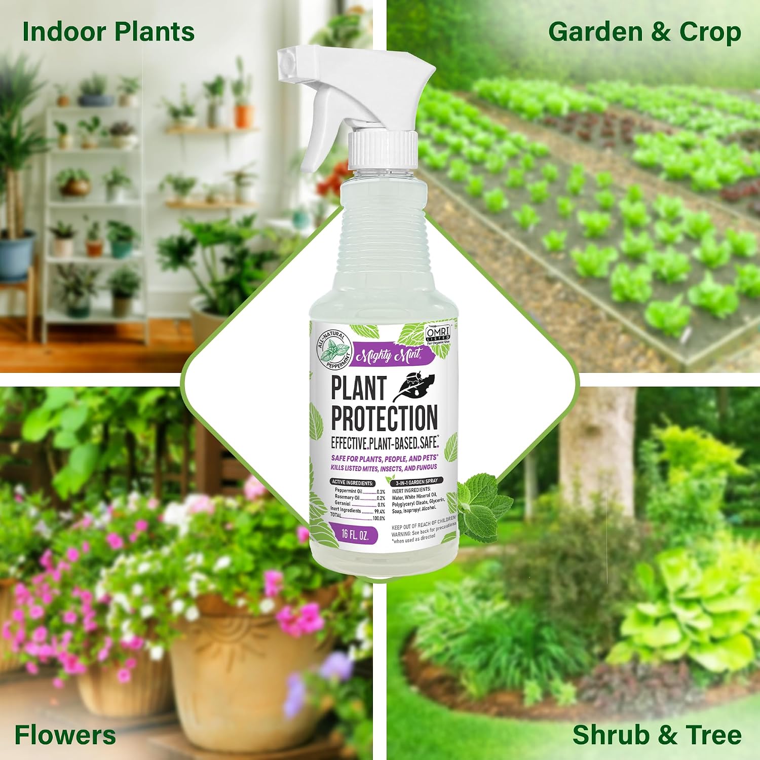 Mighty Mint Peppermint Oil Plant Protection Spray, 16 oz | Insect & Pest Control for Gnats, Spider Mites & Aphids