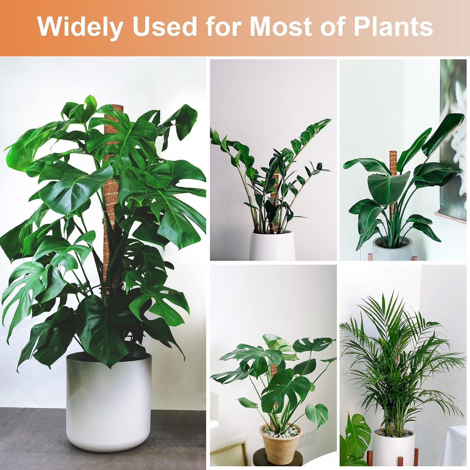 Moss Pole for Plants Monstera,【8 Pack】 23.6 inch Plant Support Pole, Extendable Coir Totem Pole for Potted Plants