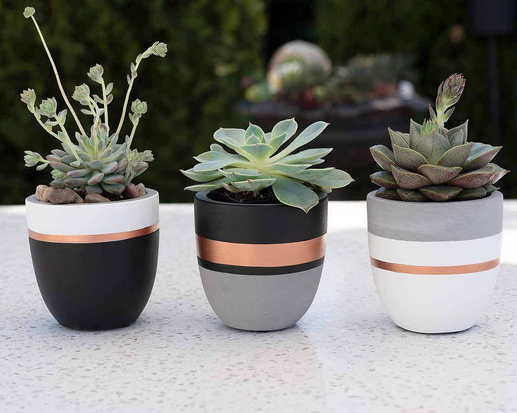 PASENITY Hand Painted Indoor Plant Pots, Set of 3 Modern Cement Succulent Pots with Drainage, Best Planters for Cactus