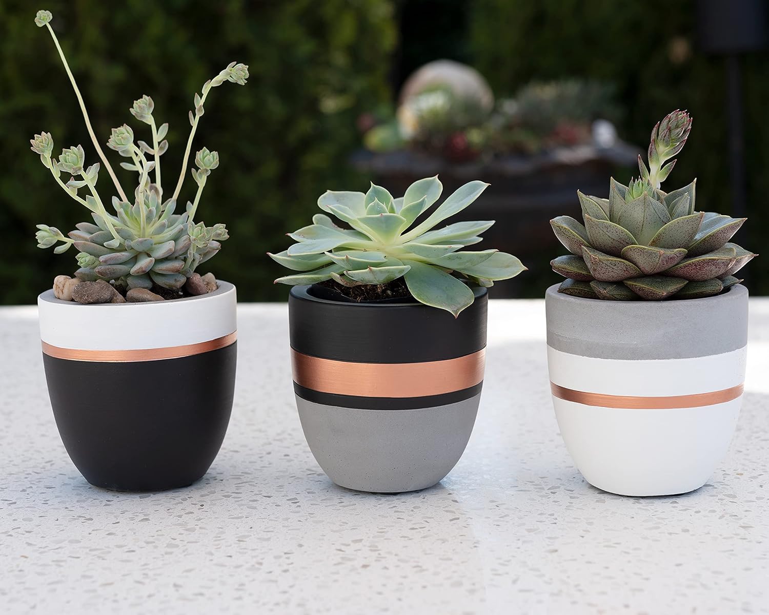 PASENITY Hand Painted Indoor Plant Pots, Set of 3 Modern Cement Succulent Pots with Drainage, Best Planters for Cactus