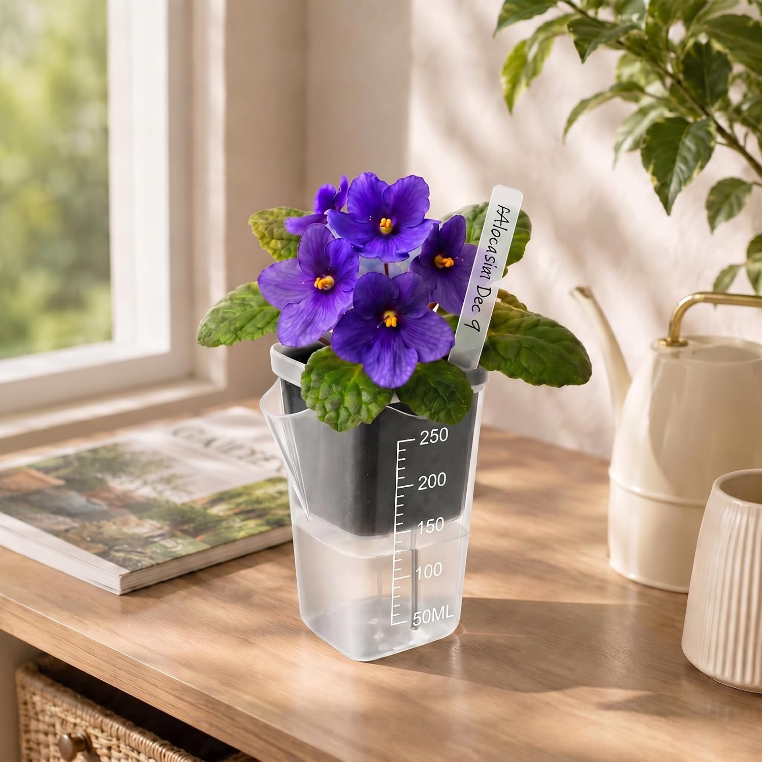 12 Pack 2.5" Self Watering Pots for Indoor Plants,Small Clear Plastic Planters with Water Level Indicator & Drainage