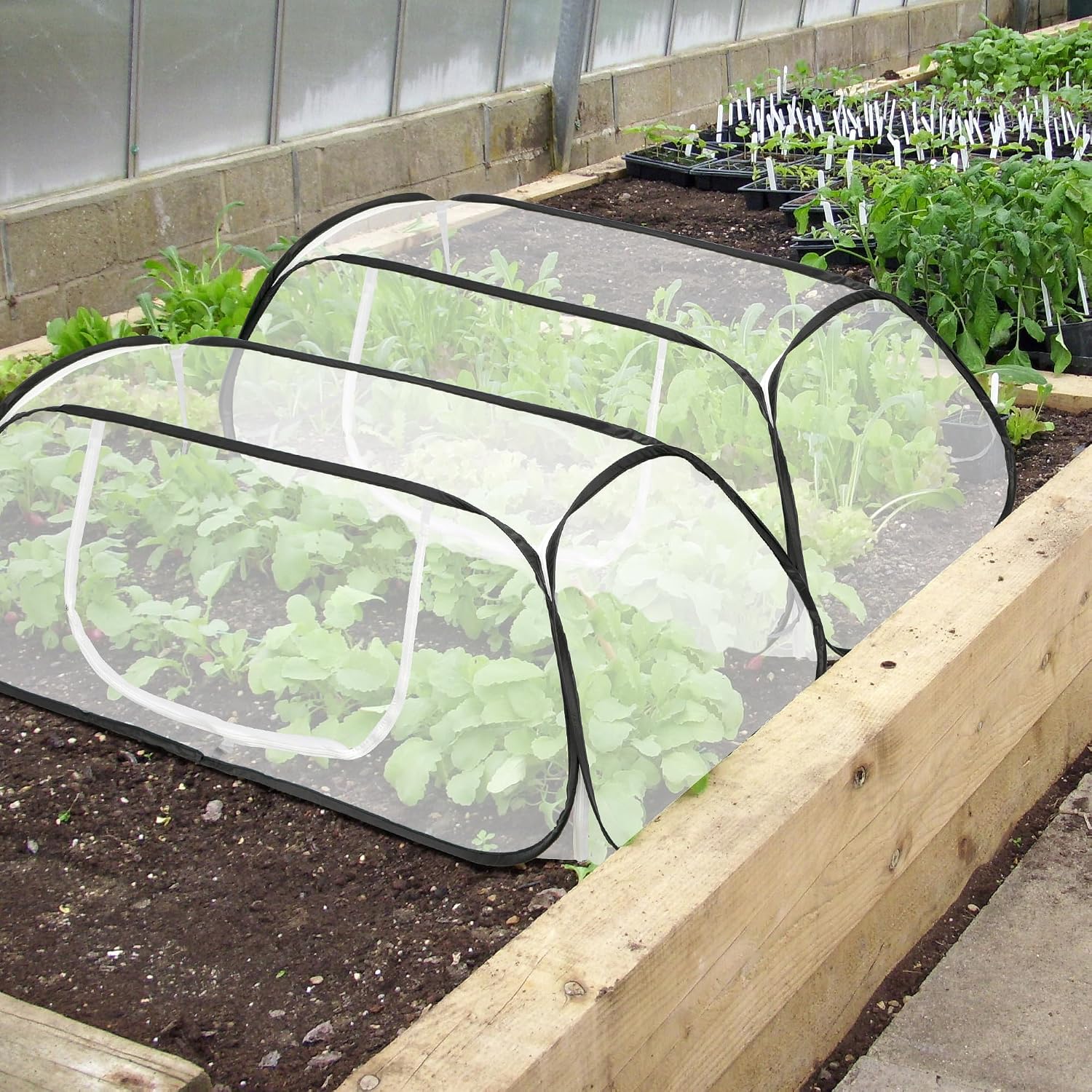 2 Pcs Pop Up Garden Rows Plant Cover,Raised Garden Beds Plants Protector | 46" x 22" x 16" Insect Bird Barrier Plant