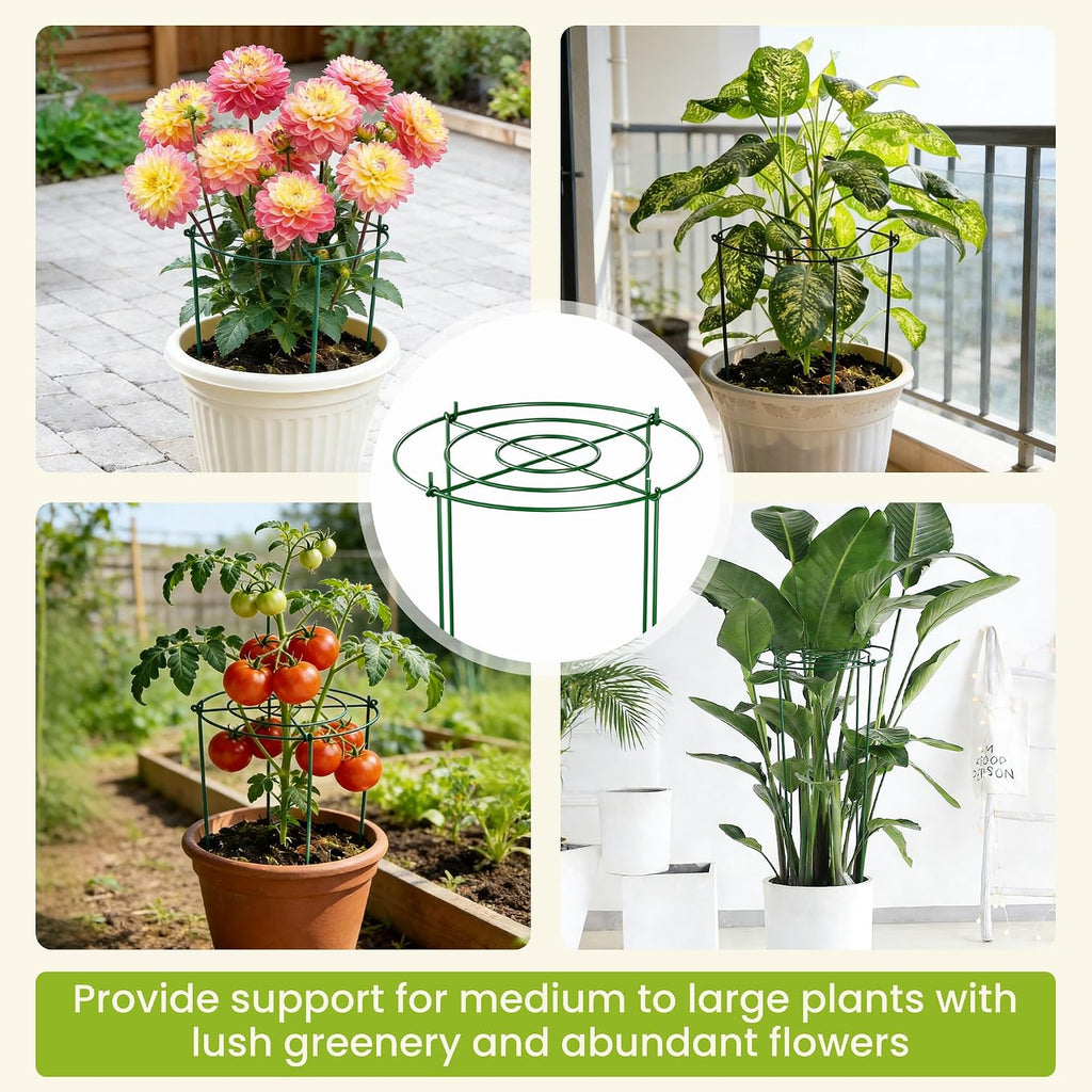 6 Pack Peony Cages and Supports, 12" x 24" Tall Peonies Support Cage | Heavy Duty Metal Peony Stakes and Supports for