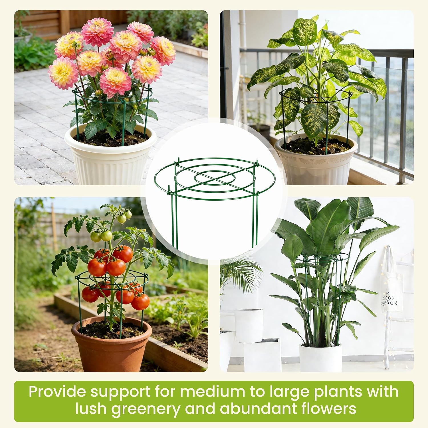 6 Pack Peony Cages and Supports, 12" x 24" Tall Peonies Support Cage | Heavy Duty Metal Peony Stakes and Supports for