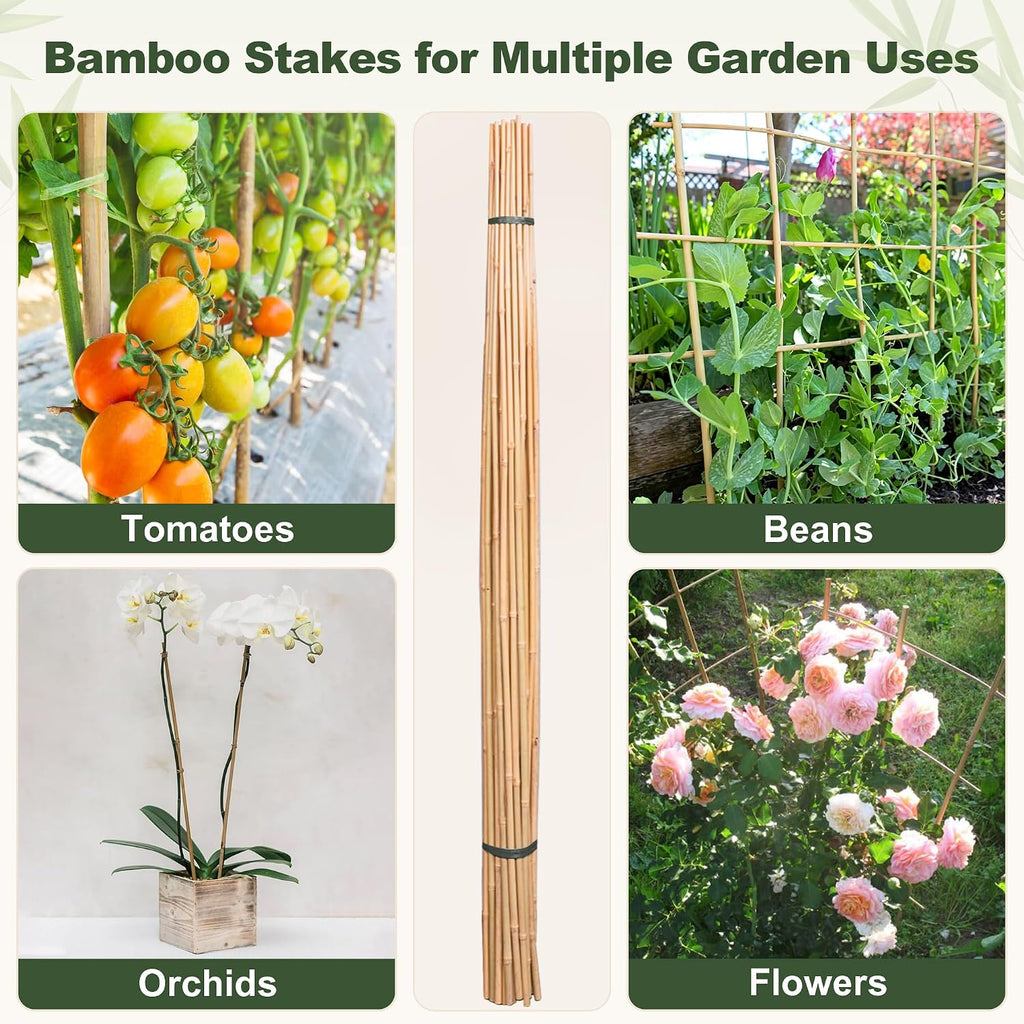 Natural Bamboo Poles, 4 Feet Bamboo Sticks for Plants, Wood Garden Stakes for Tomato, Bean, Flowers, Trees Potted and