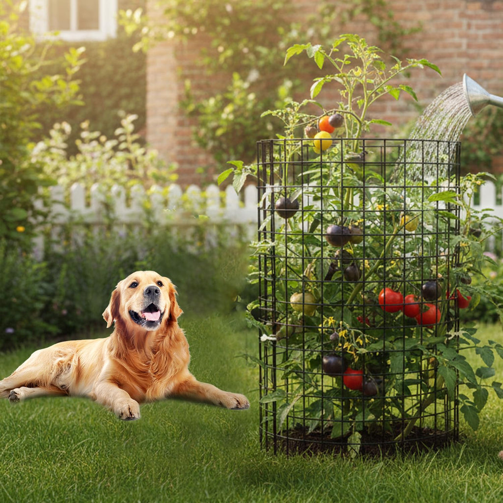 30 Pcs Plant Protectors from Animals,Protect Plants from Deer 10 Sets Metal Plant Cages Animal Intrusion Barrier Wire
