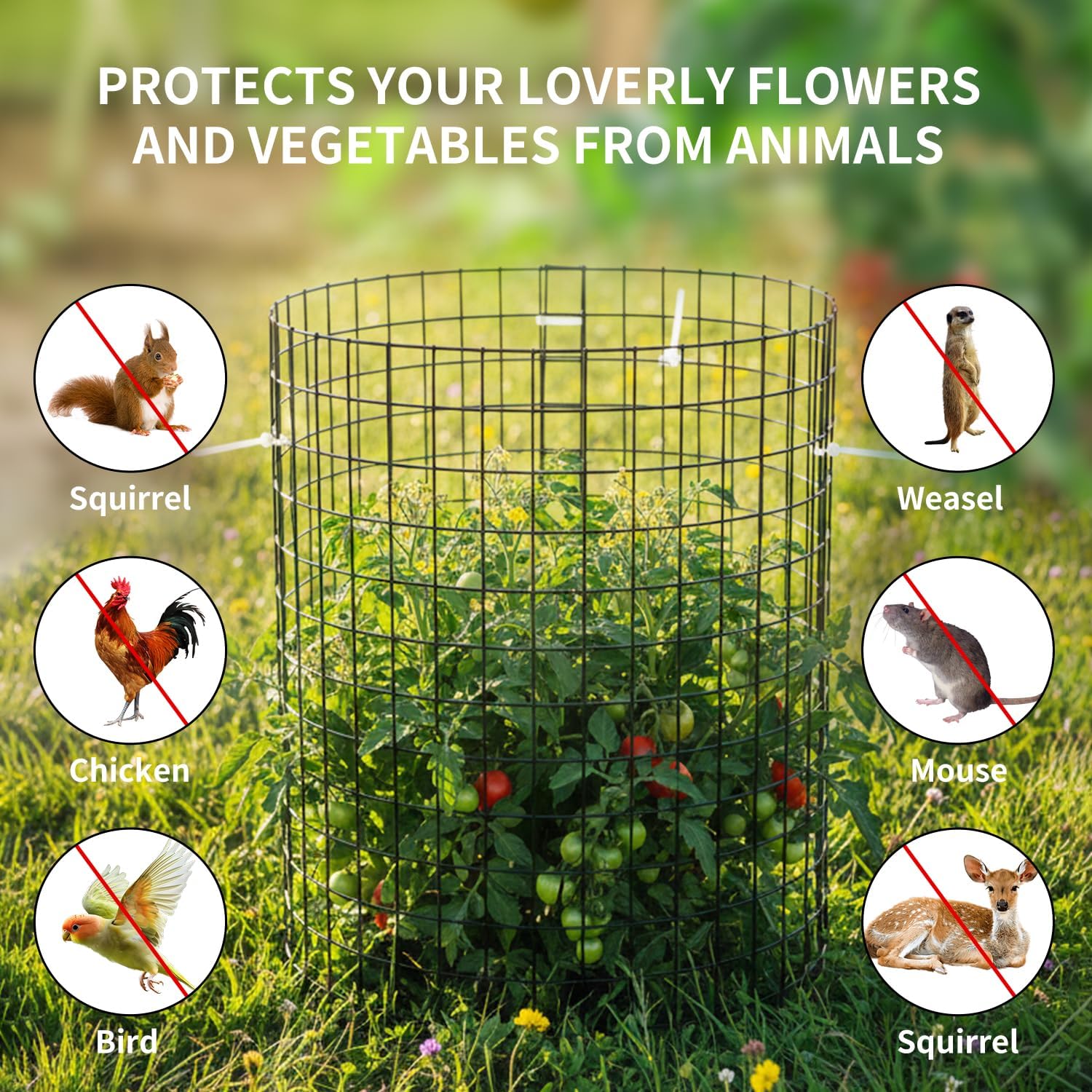 30 Pcs Plant Protectors from Animals,Protect Plants from Deer 10 Sets Metal Plant Cages Animal Intrusion Barrier Wire