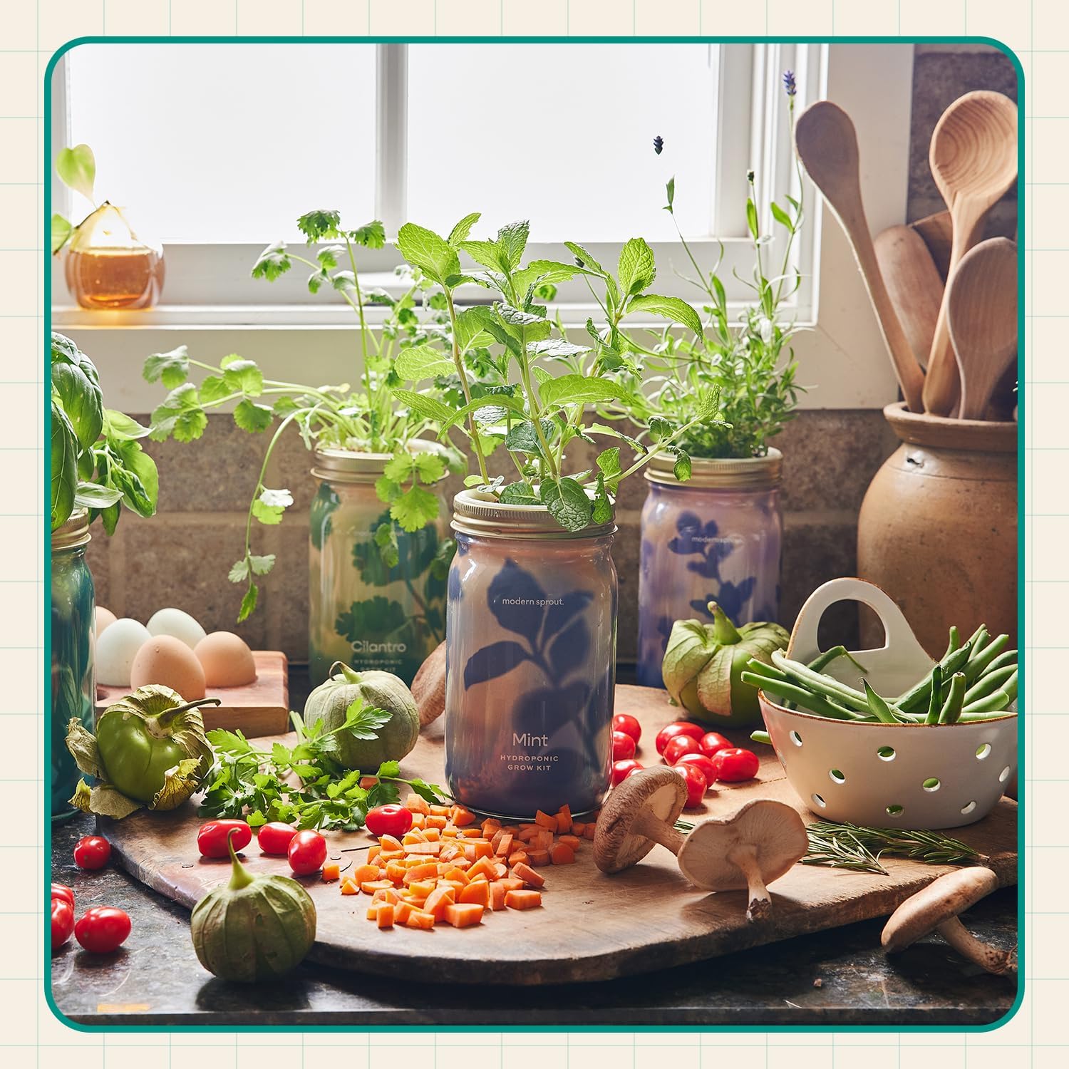 Modern Sprout Mason Jar+Replant Kit- Self-Watering Hydroponics System-Basil | Growing System Kit w/Organic Herb Seeds