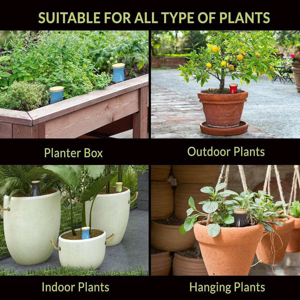 Ollas (Set of 4) | 12oz Terracotta Plant Watering Globes - Self Watering Planter Insert - Automatic Plant Watering