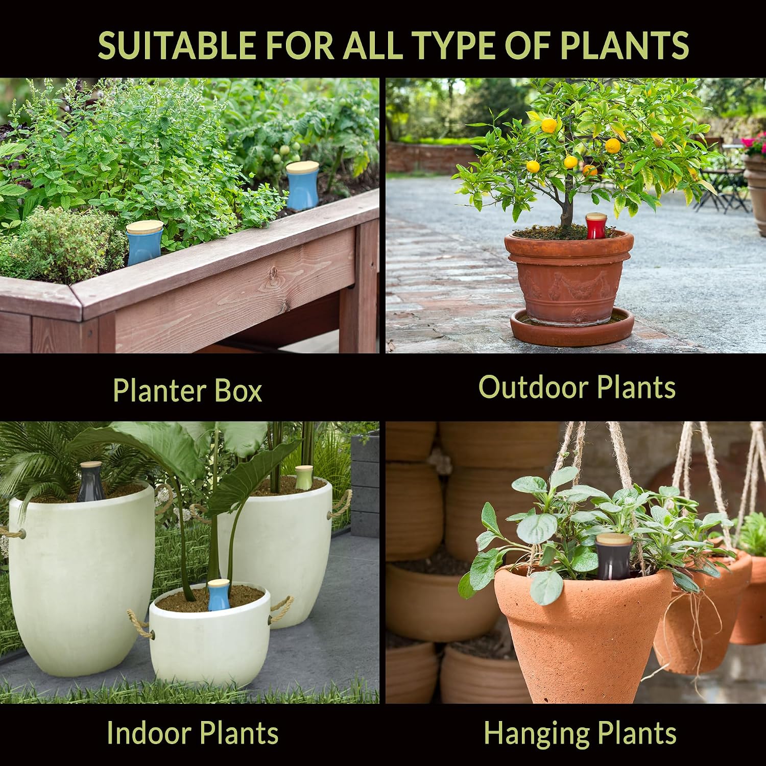 Ollas (Set of 4) | 12oz Terracotta Plant Watering Globes - Self Watering Planter Insert - Automatic Plant Watering