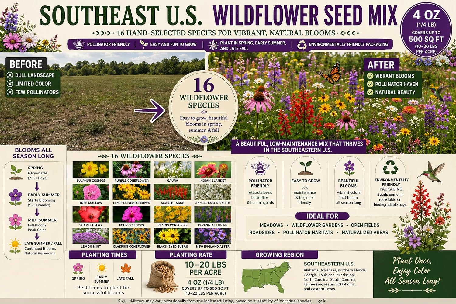 North Carolina Bulk Perennial and Annual Non-GMO Wildflower Seed Mix 1/4lb Covers 500sq-ft - Attract Pollinators
