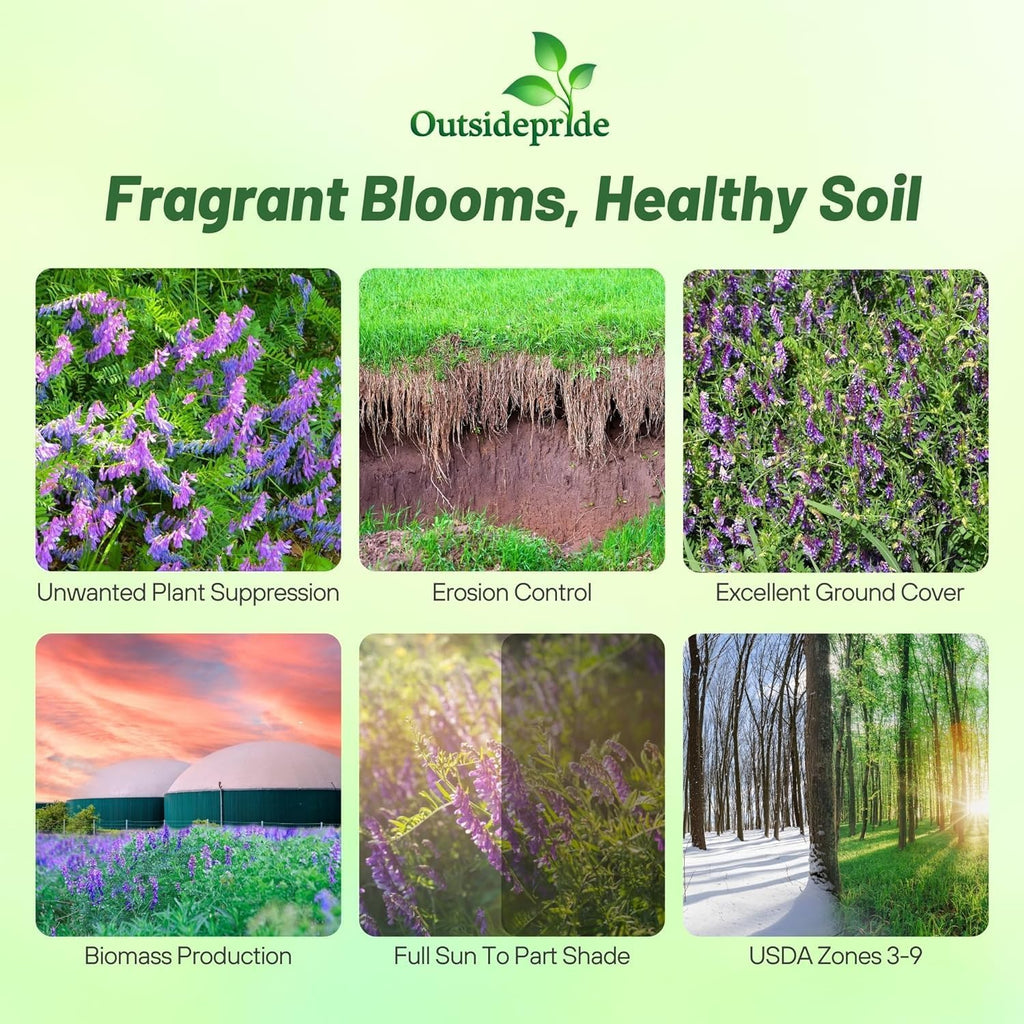 Outsidepride Hairy Vetch Cover Crop Seeds - 5 Lbs Cold Tolerant, Winter Hardy - Ideal for Soil Improvement, Green