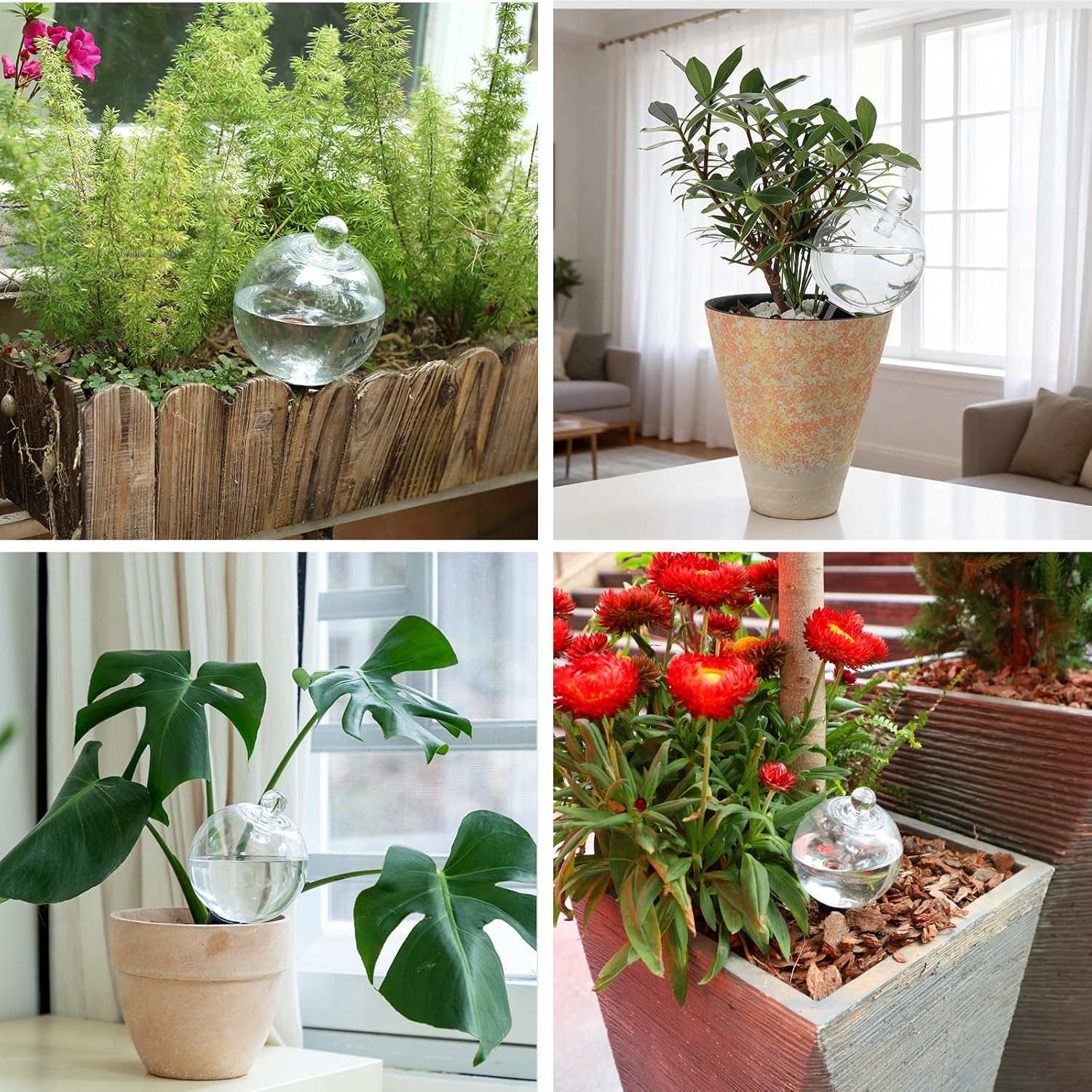 4 Pack Plant Watering Globes with Covers 17oz Self Watering Planter Insert, Plastic Water Bulbs, Indoor/Outdoor Plant