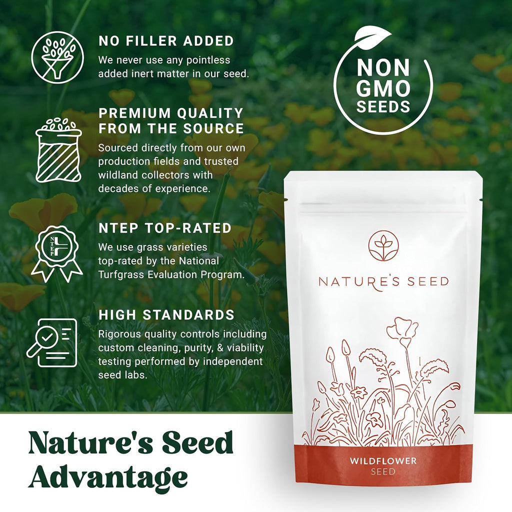 Nature’s Seed California Poppy Wildflower Seeds for Planting, Drought Tolerant, Pollinator Friendly, 0.5 lbs