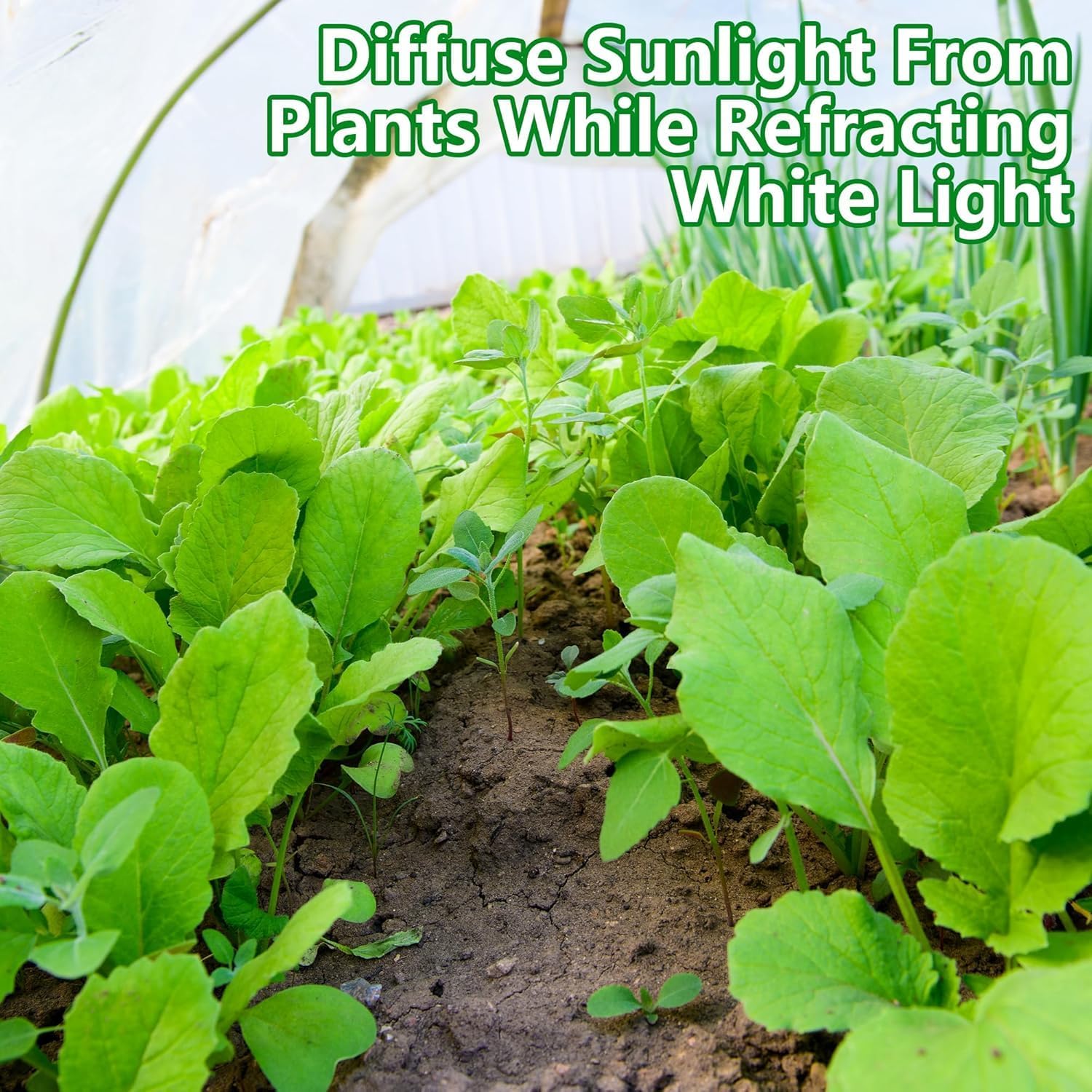DECOHS 2 Pcs Plant Sun Protection Cloth, 30 x 10 Ft Garden Plant Shade Cloth, Non-Woven White Light Refraction Sunshade