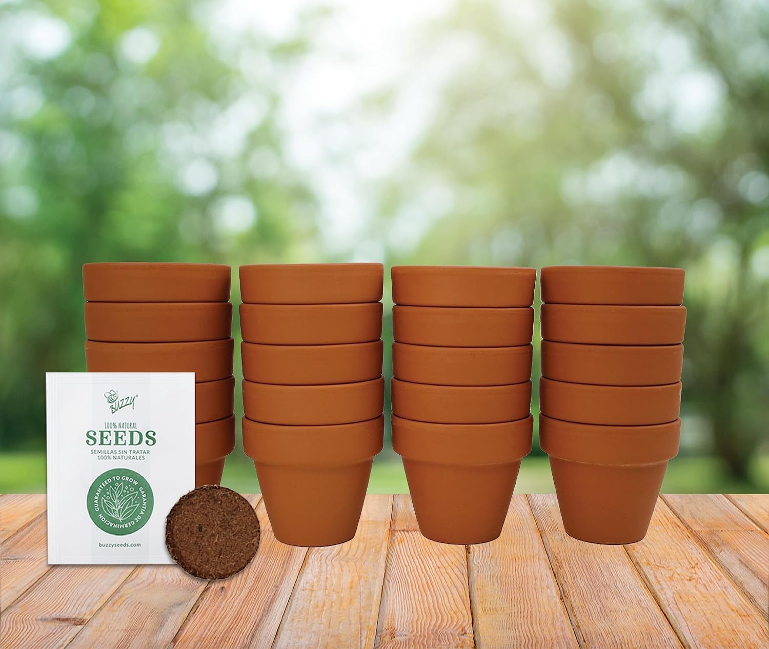 BUZZY Seeds Daisy Grow Kit, Bulk 20-Pack - Mini Terracotta Pot Grow Set - Complete Indoor/Outdoor Gardening Kit with