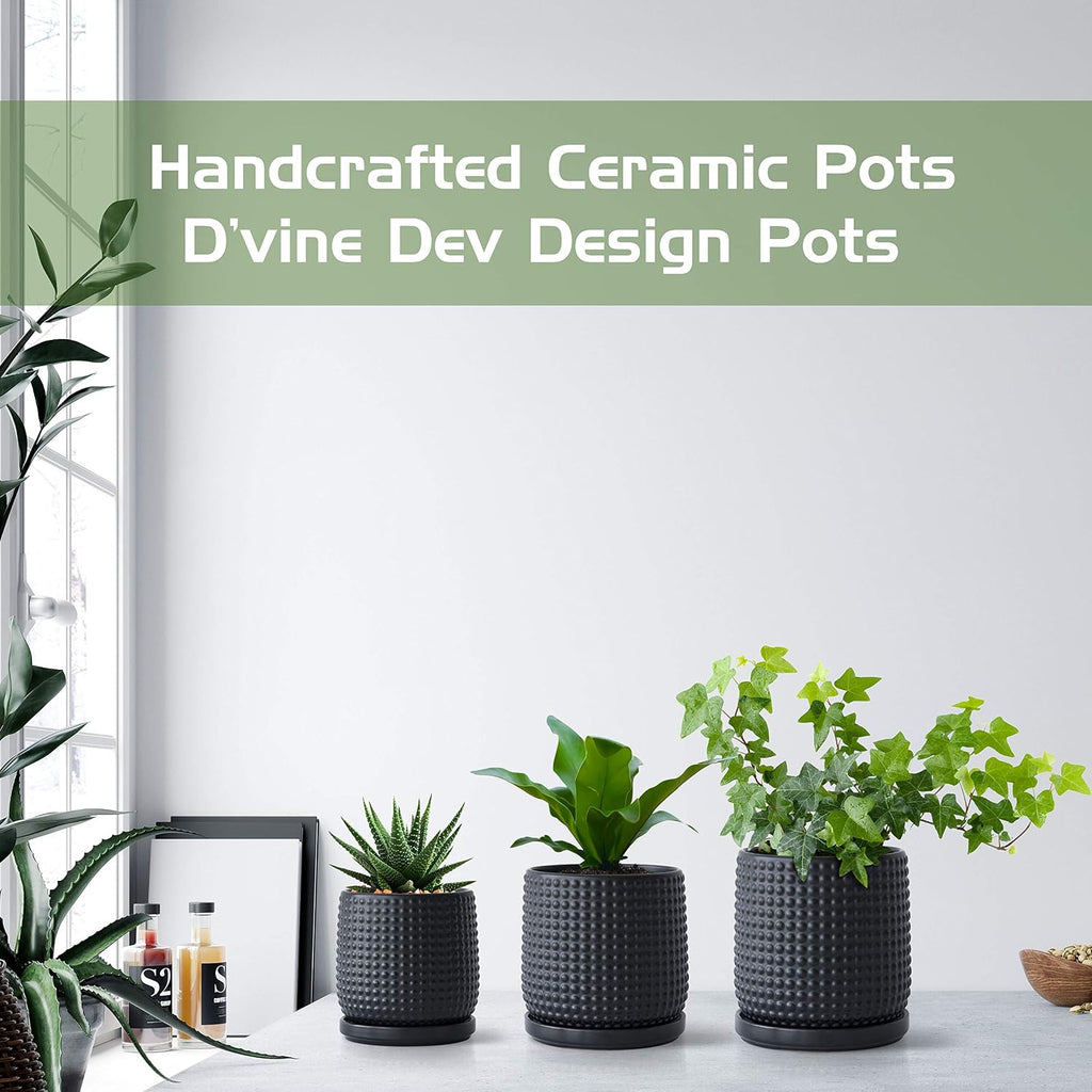D'vine Dev Beaded Ceramic Pot with Saucer, 6 in, Ebony Matte, 27-C-X-6 | Embossed Dot Texture, Smooth Glazed Finish
