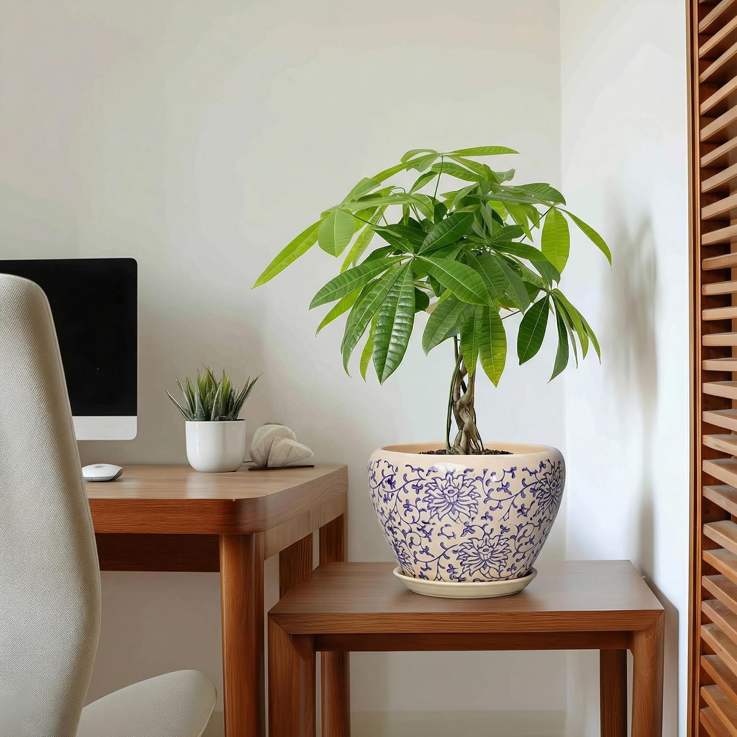 Ceramic Pots for Plants - 8 Inch Plant Pot with Drainage Hole and Saucer, Modern Flower Pots for Indoor Outdoor Plants