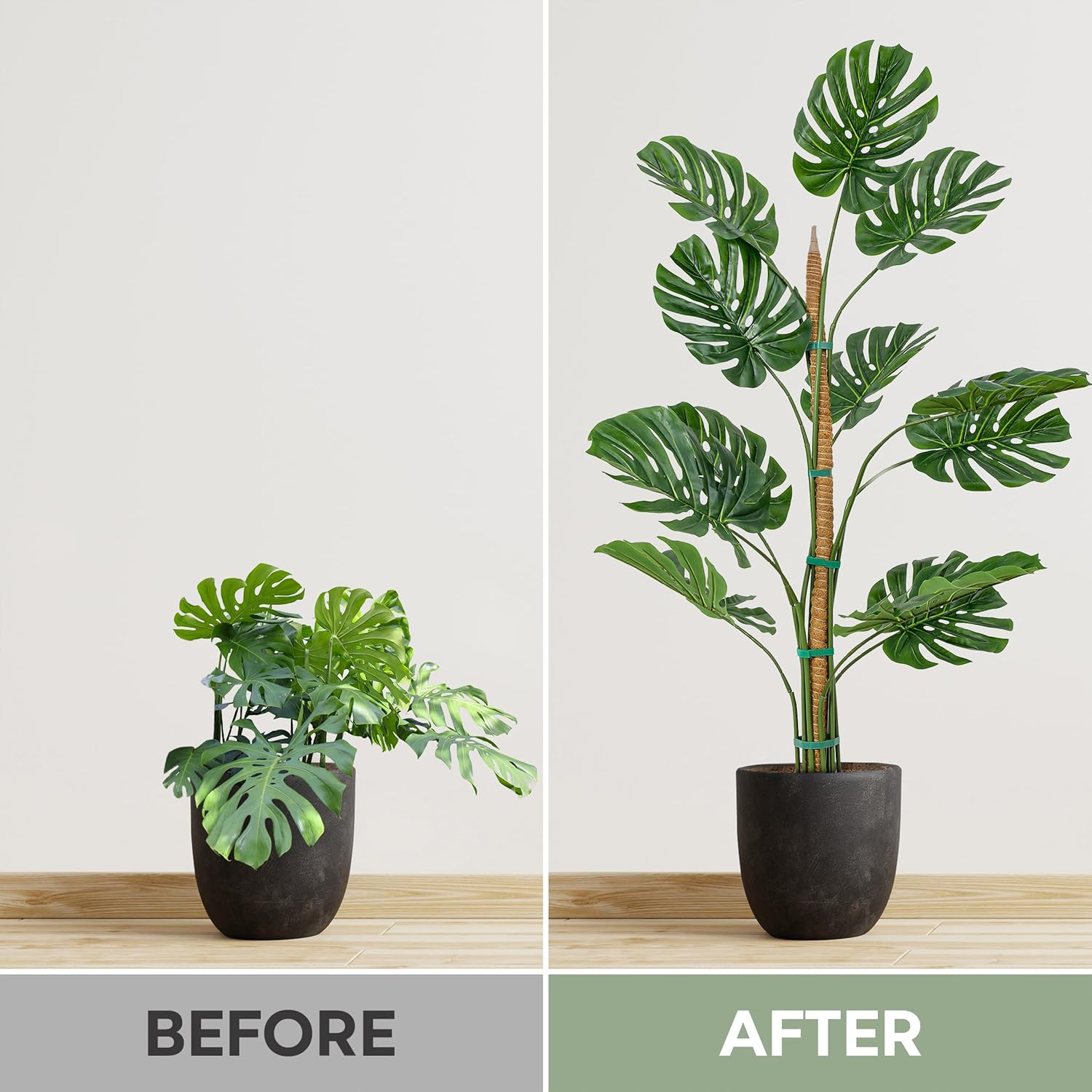 K-Brands 4 Pack Moss Pole Bundle - 2 x 63'' + 2 x 25'' Monstera Plant Support - Moss Poles for Climbing Plants Monstera