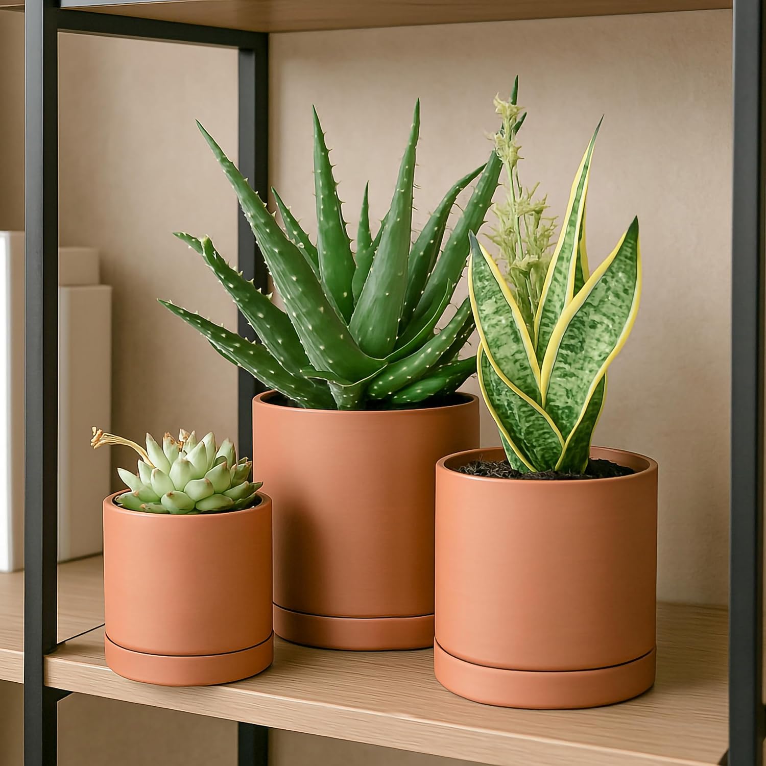 D'vine Dev 3-Pack Classic Terracotta Pots & Saucers, 4/5/6 in, 40-T-A-0 | Cylinder Shape, Timeless Style, Unglazed