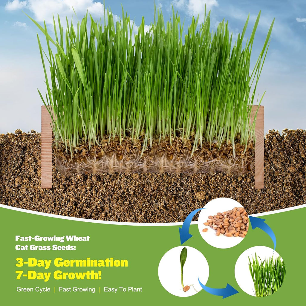Cat Grass Kit for Indoor Cats - 3 Pack with Cat Grass Seeds, Nutrient Soil & Planter Pots | Complete Growing Set for