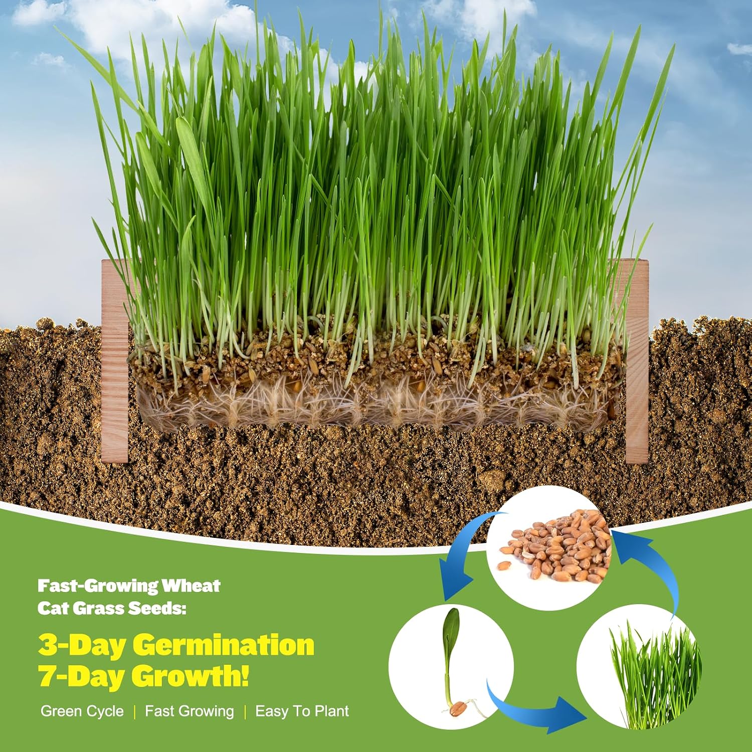 Cat Grass Kit for Indoor Cats - 3 Pack with Cat Grass Seeds, Nutrient Soil & Planter Pots | Complete Growing Set for