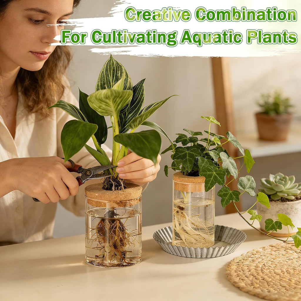 12 Pack Plant Propagation Station with Hole Lid Plant Propagation Jars Plants Plastic Propagations Stations Planter