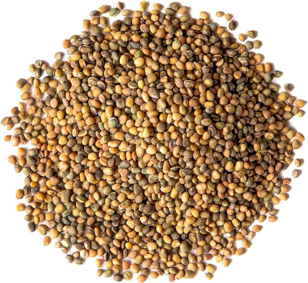 Food to Live Organic Arugula Sprouting Seeds, 2 Pounds – Non-GMO, Kosher, Great for Sprouting and Planting, High