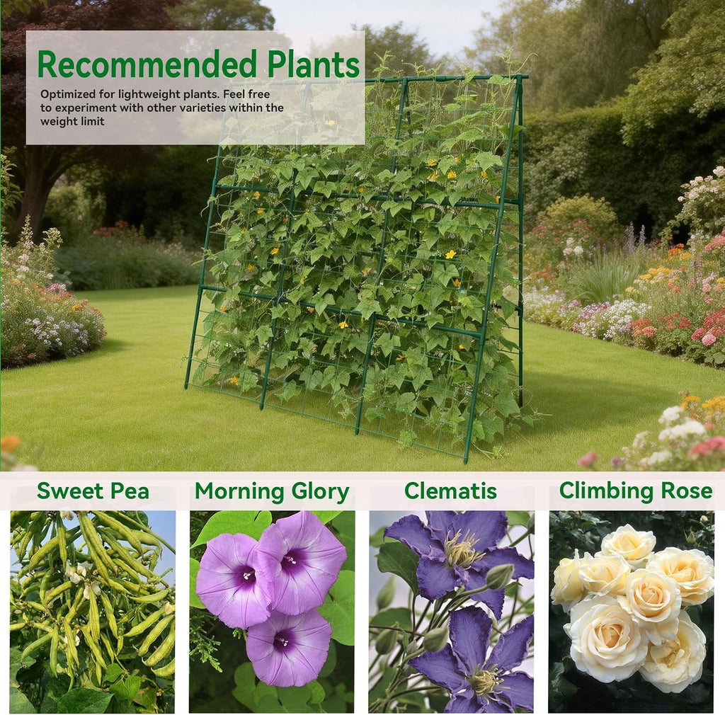 Cucumber Trellis - 49.4"*49.4" Metal Garden Trellis for Climbing Plants, Garden Trellis with Plastic-Coated Steel Pipe