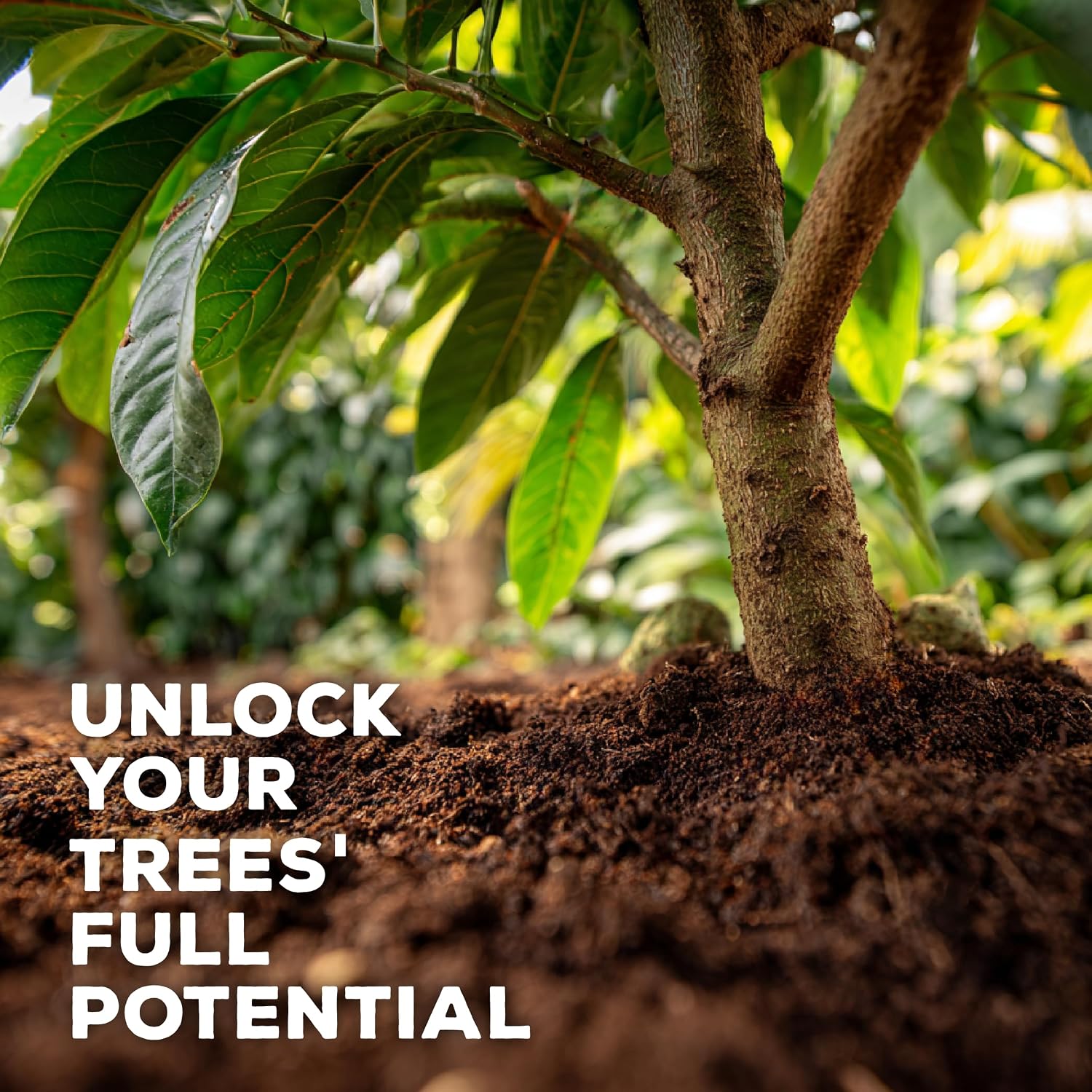 Soil Seed & Water Seriokai’s Secret Organic Fertilizer – Soil Amendment for Avocado & Lime, Lemon, Grapefruit, Orange