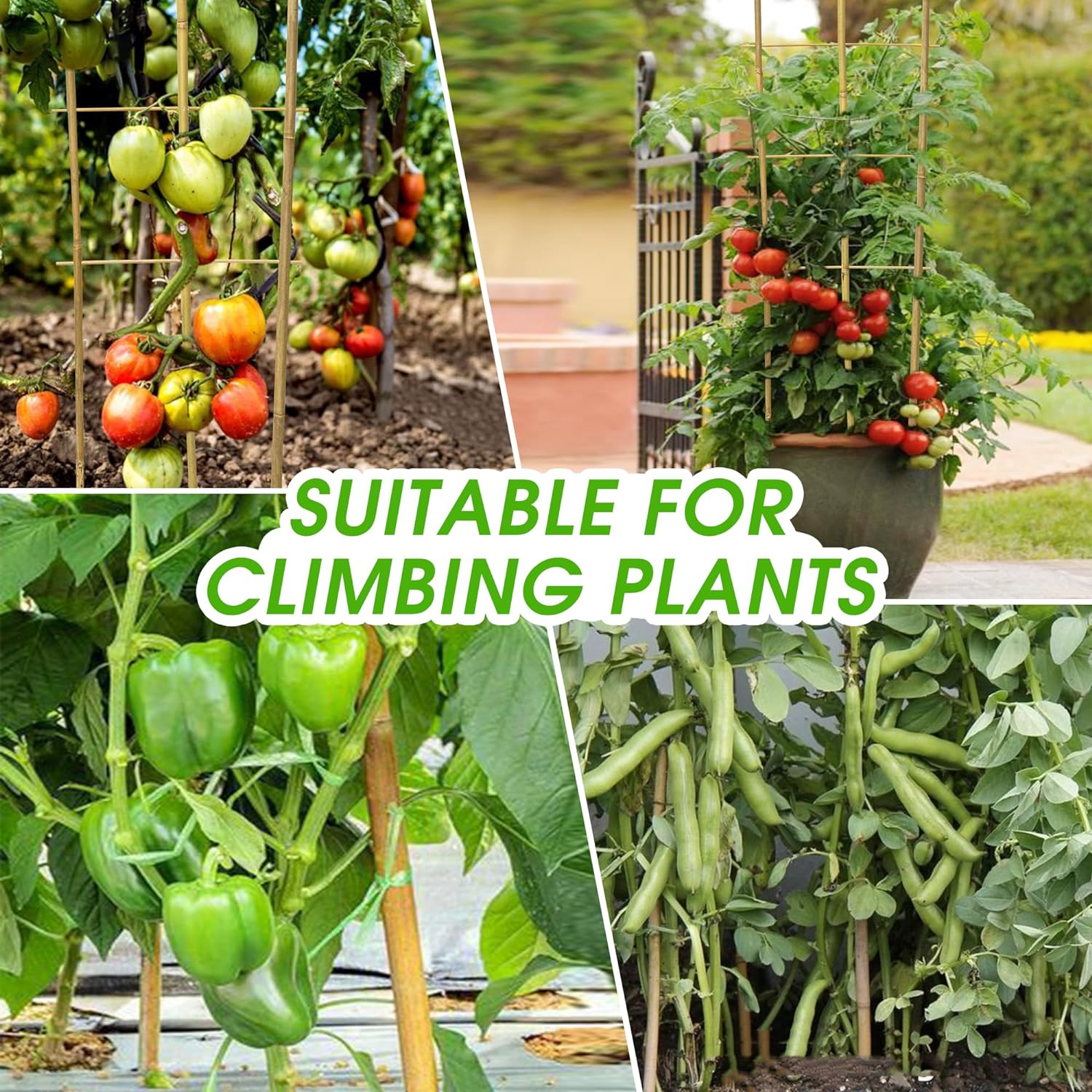3 Pack 4 Feet U-Shape Bamboo Trellis, Natural Garden Bamboo Trellis for Climbing Plants, Vegetables, Cucumber, Tomato