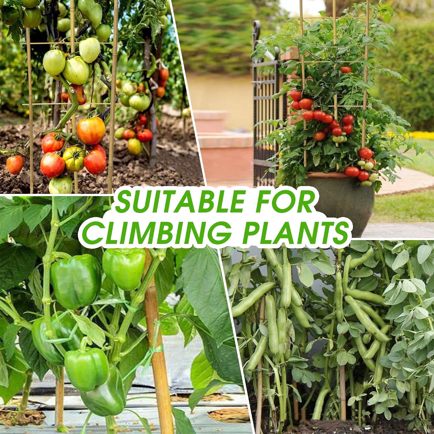 5 Pack 4 Feet U-Shape Bamboo Trellis, Natural Bamboo Trellis for Climbing Plants, Vegetables, Cucumber, Tomato, Outdoor