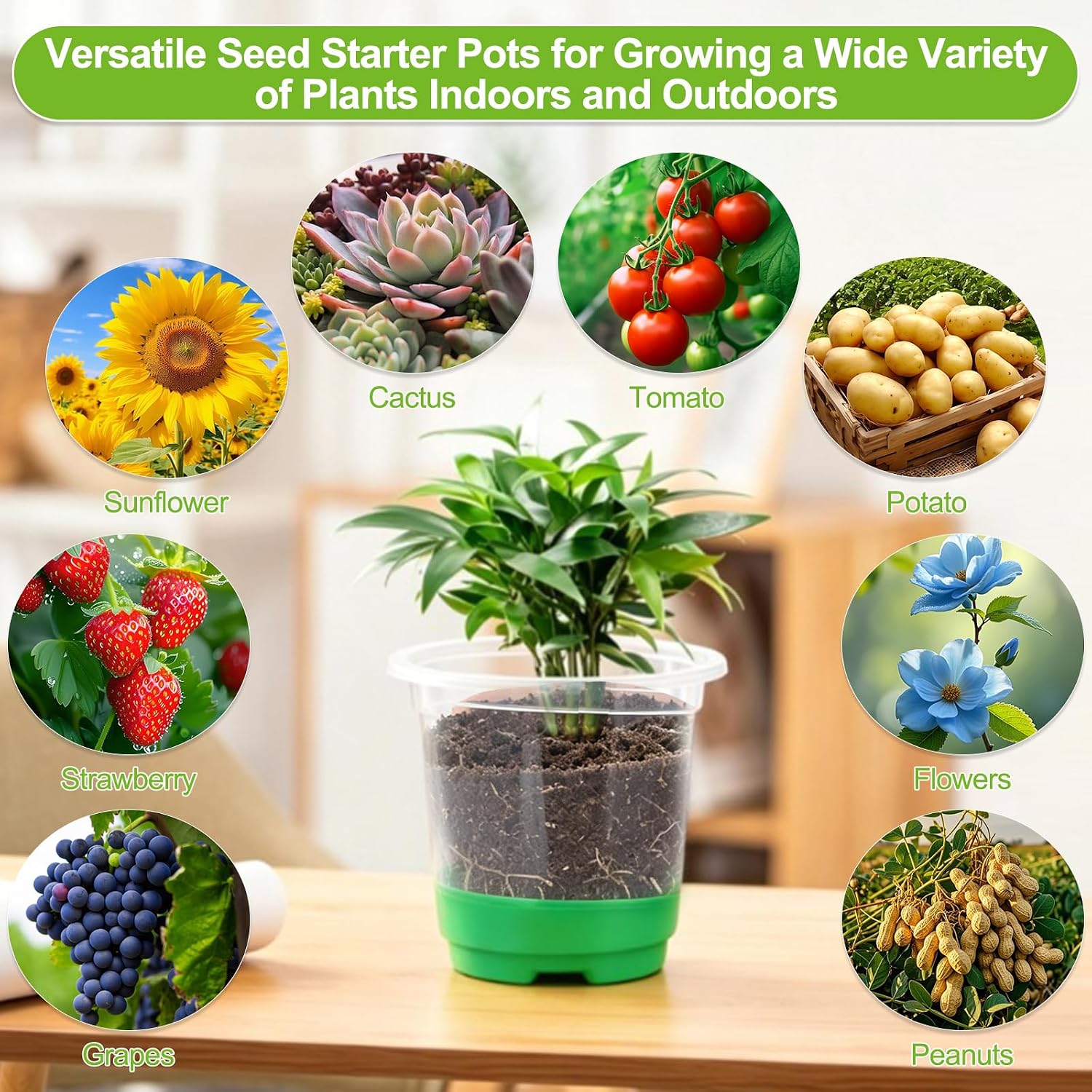 59Pcs Clear Nursery Pots Kits with Grow Light Includes 22 Pack 4'' Seed Starter Pots with Silicone Base & Lids, Clear