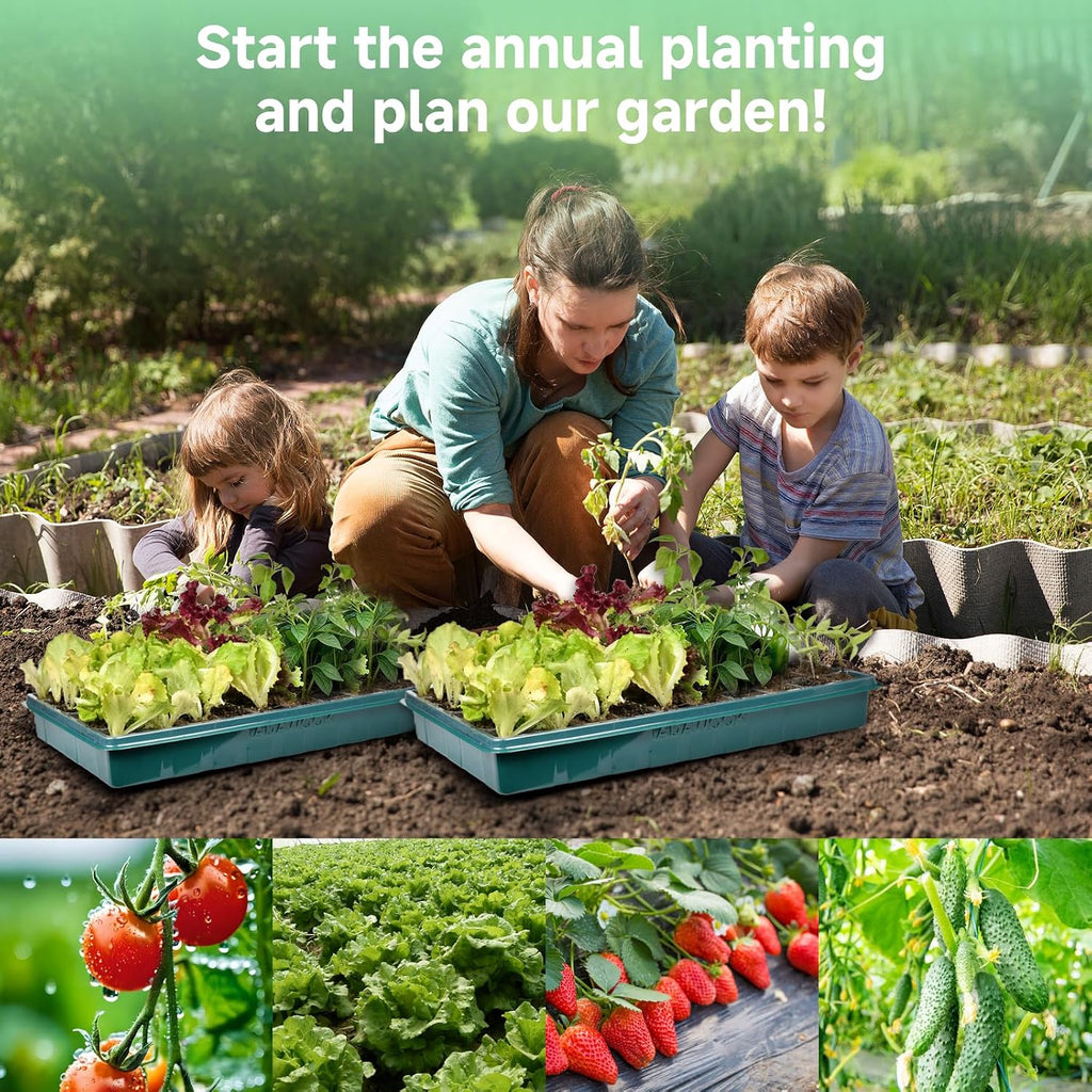Seed Starter Trays with Grow Lights, Grow Lights for Seed Starting Kit, Timming Set, Indoor Plant Growing Kit for
