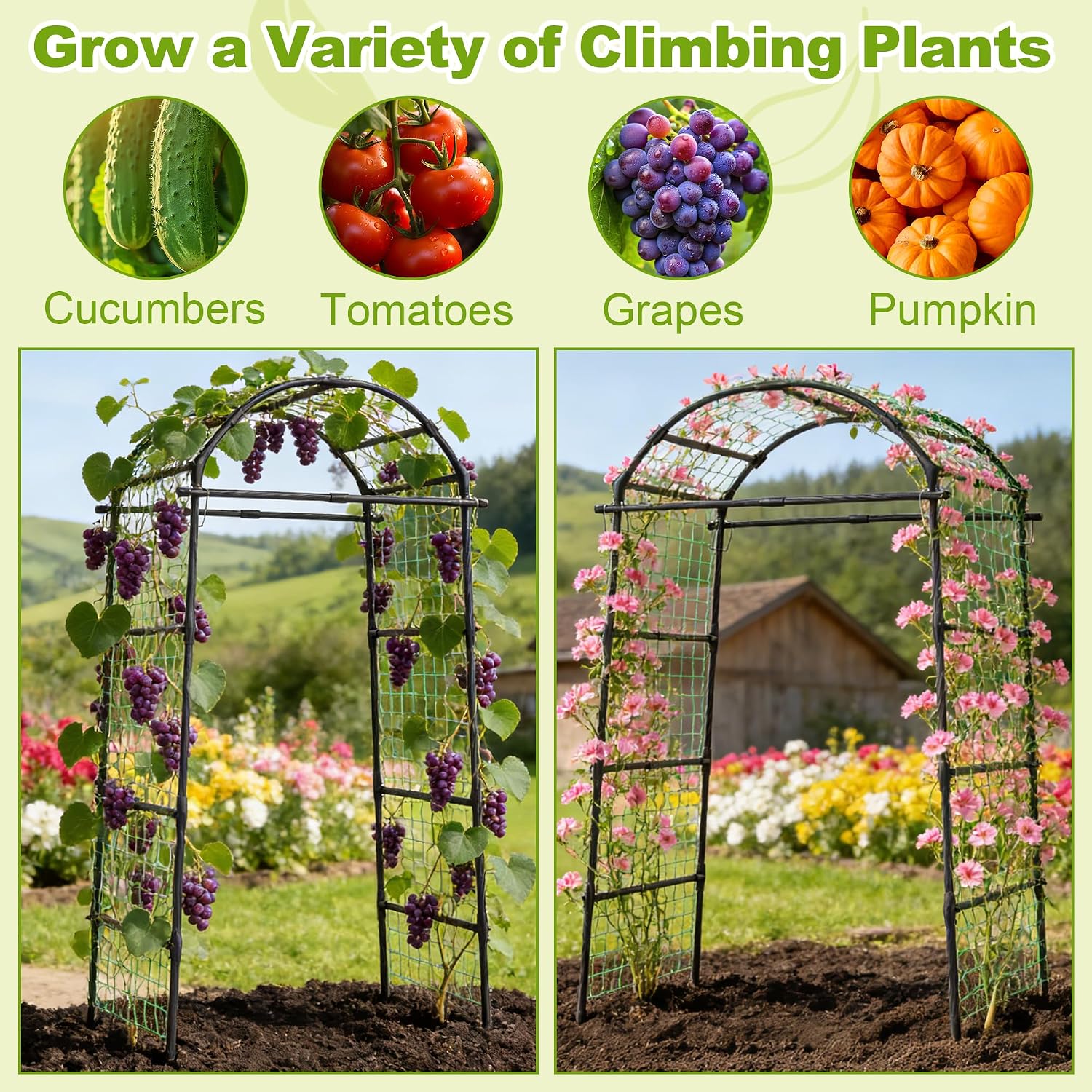 Miory Garden Arch Trellis for Climbing Plants Outdoor, 7ft Tall Plants Support Trellis for Climbing Vine Tomato