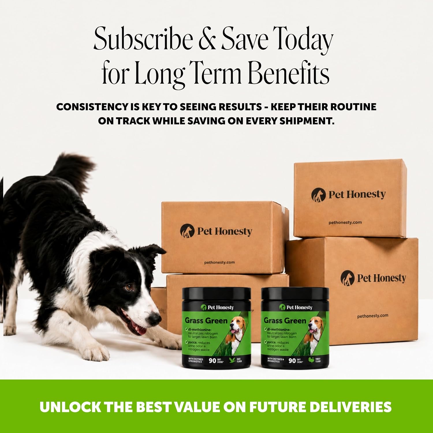 Grass Green Dog Urine Neutralizer for Lawns - Stops Yellow Burn Spots & Brown Grass - Lawn Saver Supplement with