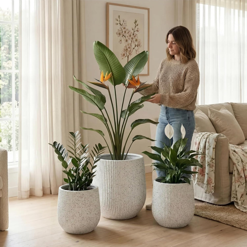 DTY Signature Mount Wilson Modern Indoor Outdoor Fiberstone Tapered Planter, Lightweight, Weather Resistant Garden Pot