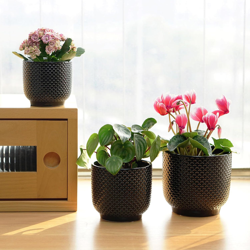 4 + 5 + 6 Inch Ceramic Pots for Indoor Plants, Succulents Plant Pots, Orchid Flower Pot with Drainage Hole, Modern Clay
