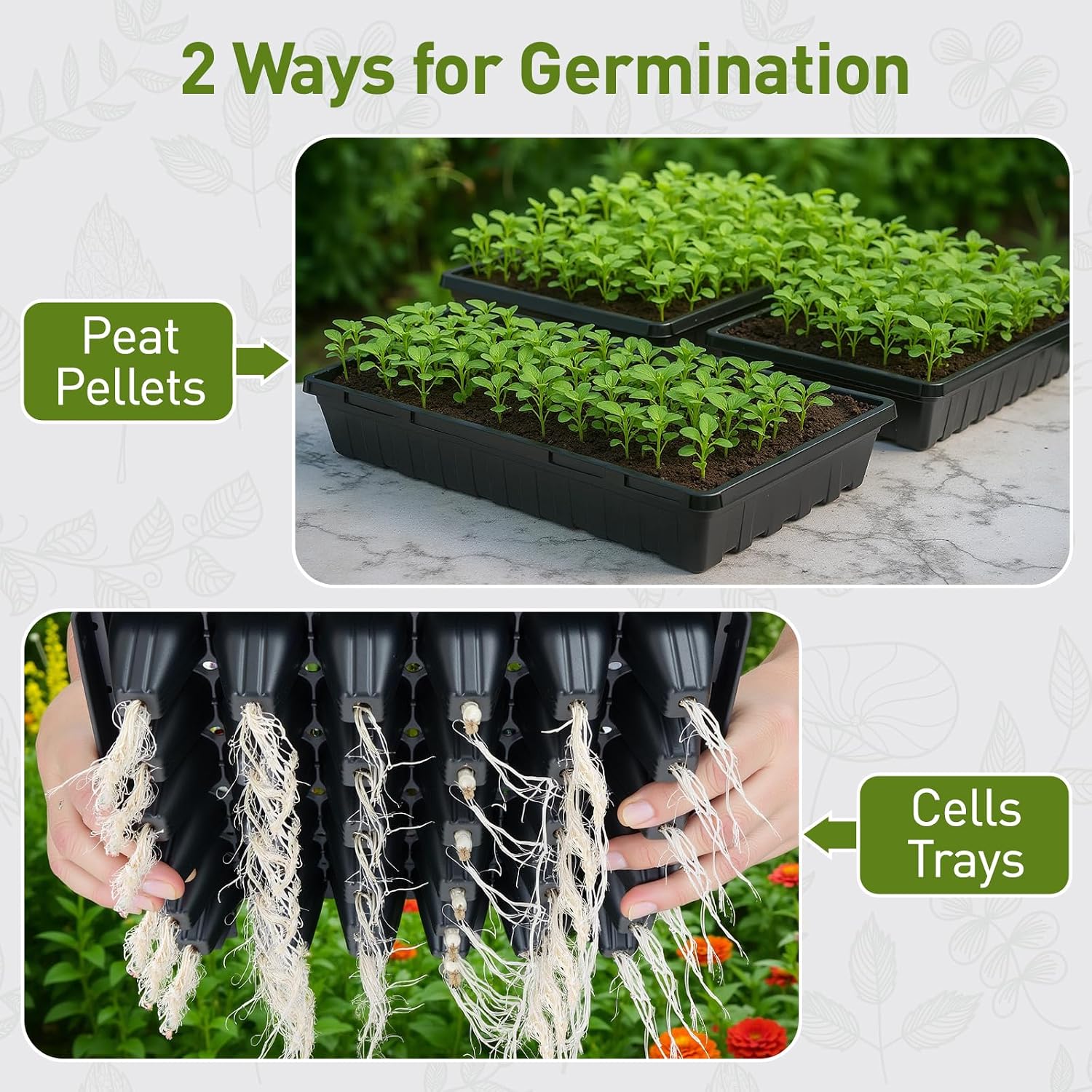 ZJP 5-Pack Seed Starter Trays Set – Includes 1020 Trays (No Holes) + 72-Cell Deep Plug Trays (2.44" Deep) + 5" Clear