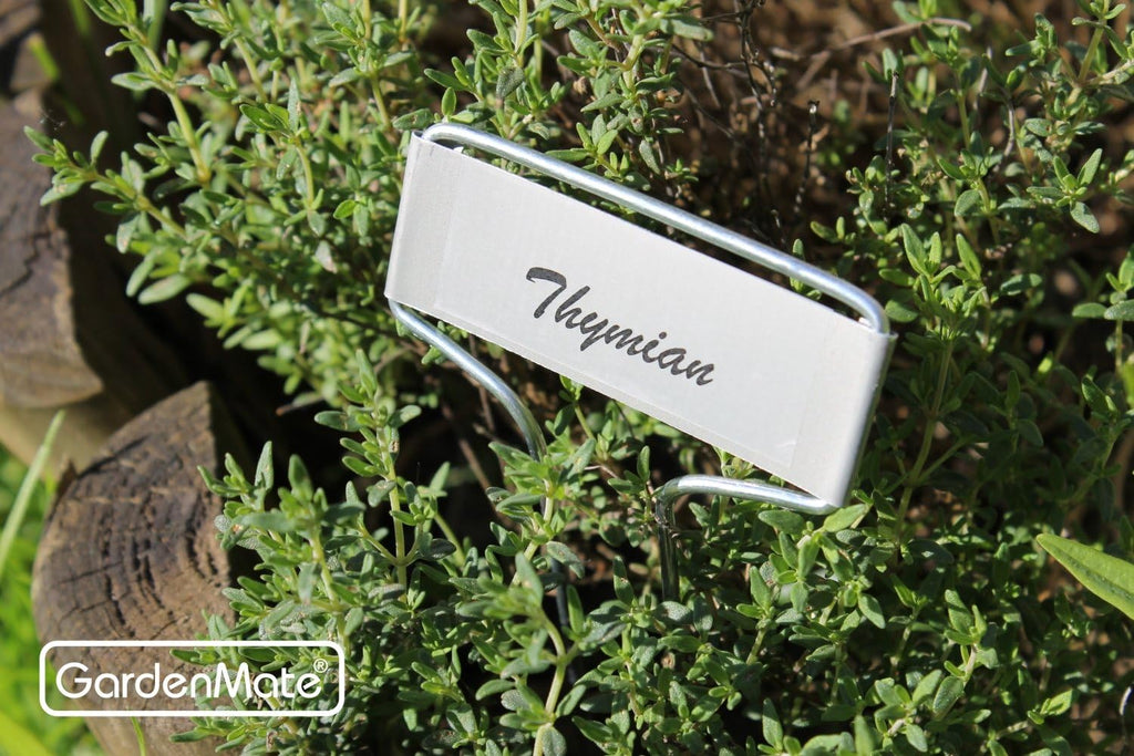 GardenMate 25-Pack Weatherproof Banner Metal Plant Labels, Height 10.5", Label Area 2.5'' x 7/8''