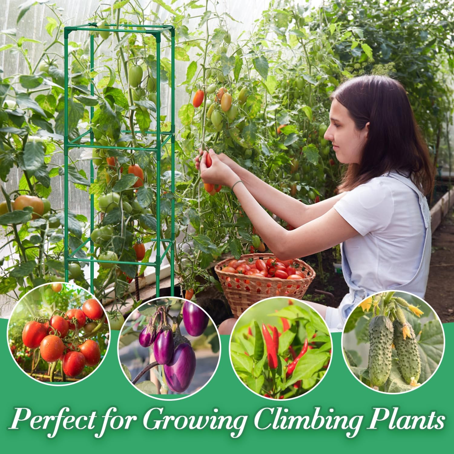 3 Pack Tomato Cages for Garden, Square Tomato Trellis with Grow Bags, 49 IN Tall Heavy Duty Tomato Plant Stakes Support
