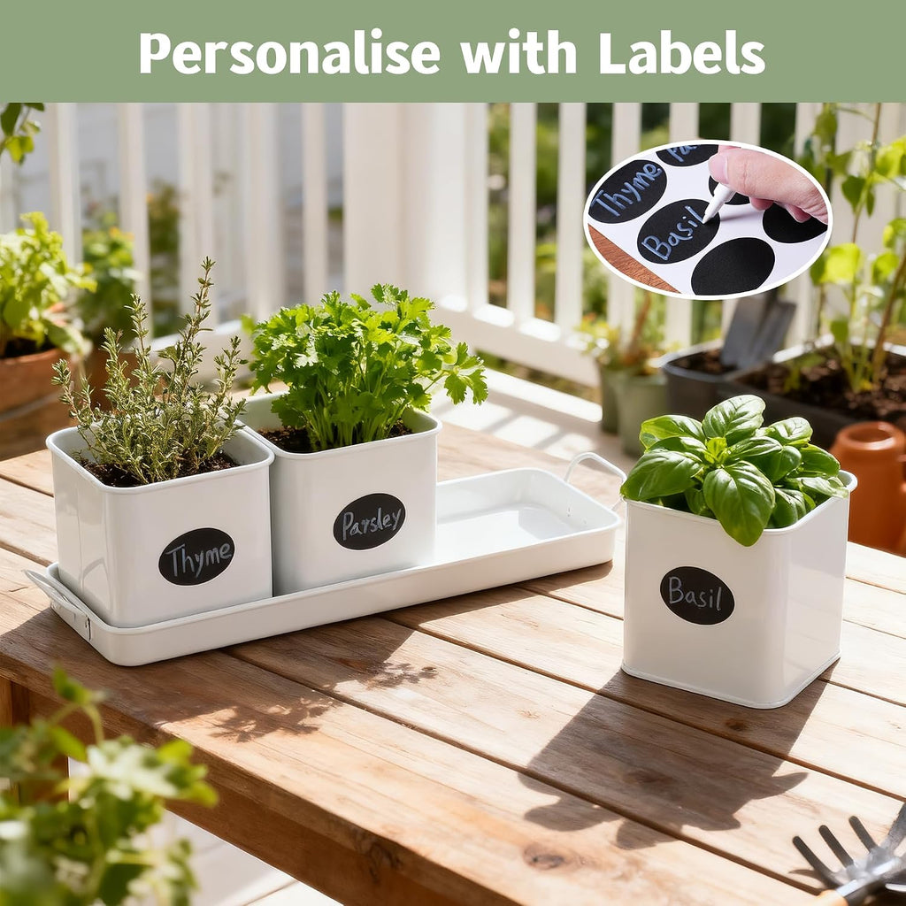 Indoor Herb Garden, Herb Planter Set with Handled Tray, 3 Iron Indoor Plant Pots with Drainage Holes, Windowsill