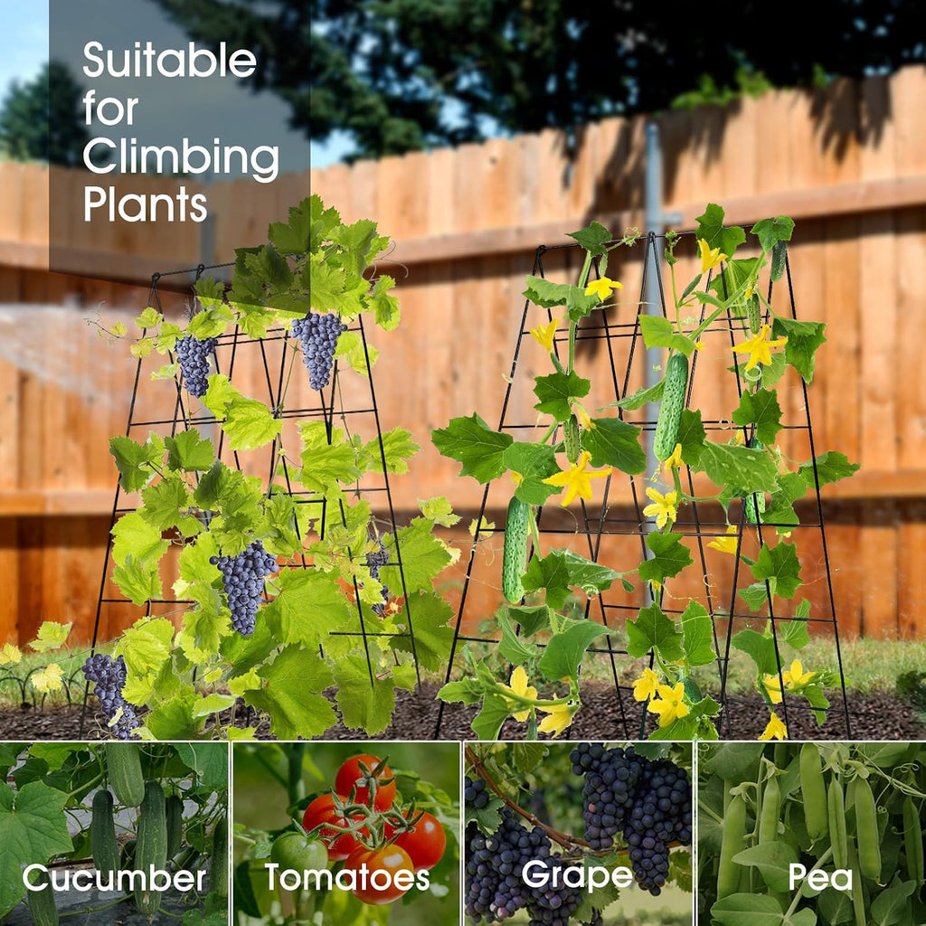 RIFNY Cucumber Trellis for Raised Bed, Garden Trellis 16.5 x 40 Inch, Black | 2 PCS Metal Trellis for Climbing Plants