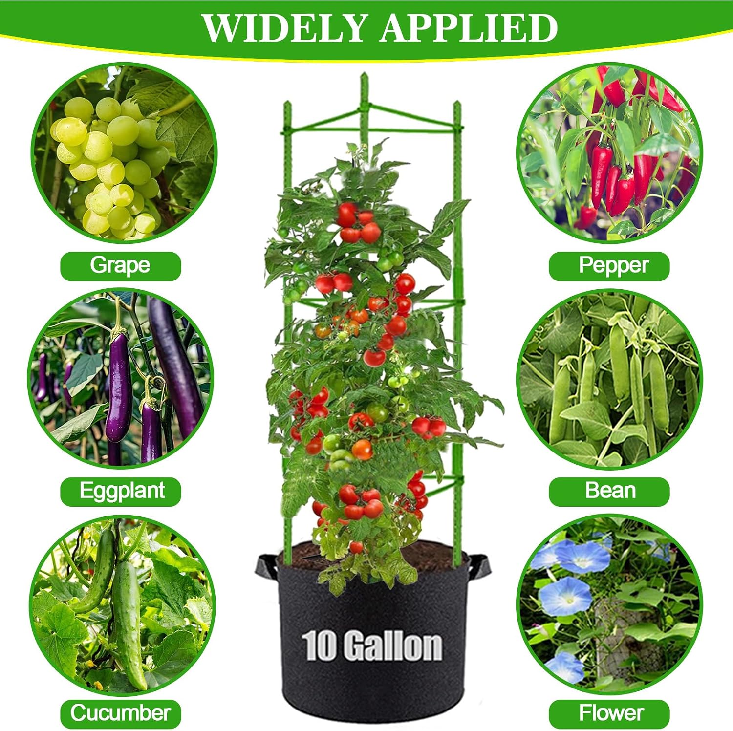 Moirsunt Tomato Cages with 10 Gallon Grow Bags, 48 Inches Tomato Planter | 3-Pack Tomato Stakes Trellis for Raised